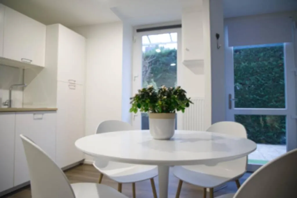 Appartement La perle de l’Isle à Vienne  Vienne (Isere)