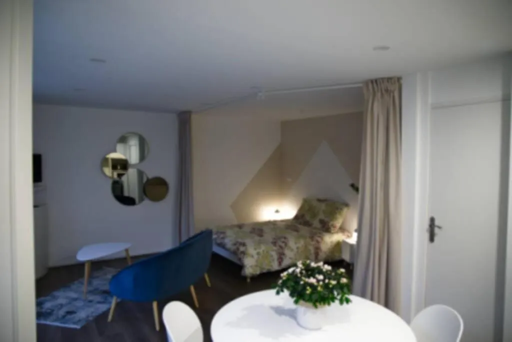 Appartement La perle de l’Isle à Vienne   Vienne (Isere)