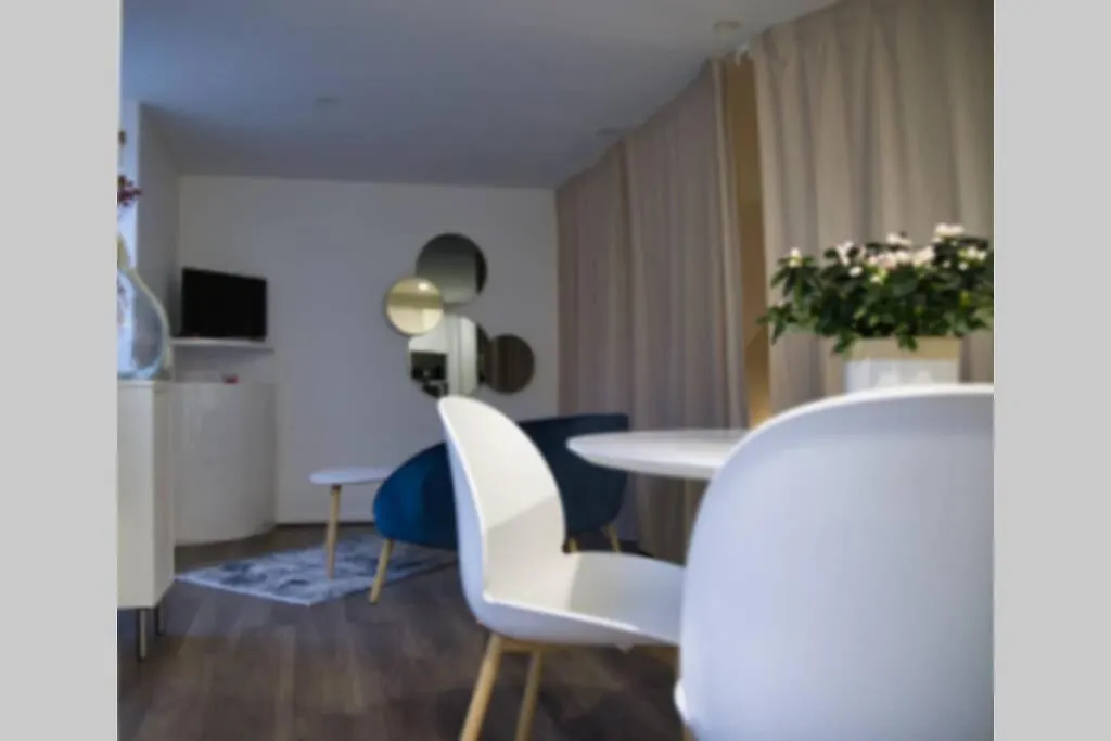 Appartement La perle de l’Isle à Vienne  France